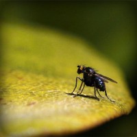 /album/daniela-y-aristoteles/photolia-a07-jpg/